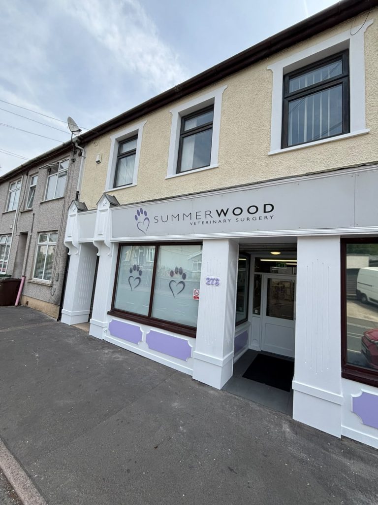 IVC Evidensia Summerwood Vets refurbishment Wales