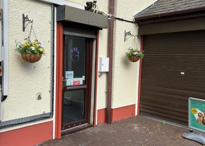 Refurbished rear entrance door at Summerwood Vets Blackwood